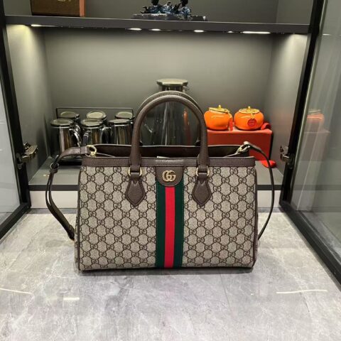 Gucci bag 2025