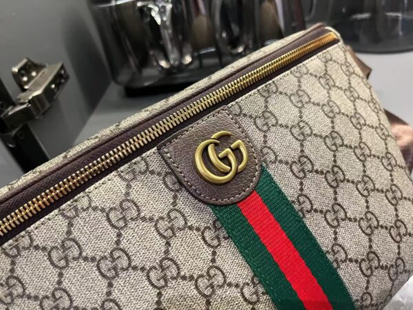Gucci bag 2025
