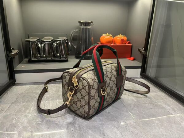 Gucci bag 2025