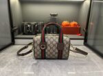 Gucci bag 2025