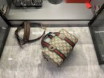 Gucci bag 2025