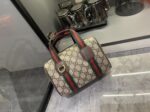Gucci bag 2025
