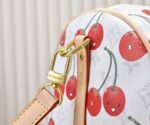 Lv Bag 2025