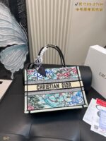 CD Bag 2025