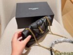 YSL Bag 2025