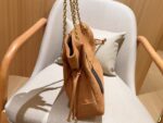 YSL Bag 2025