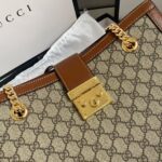 Gucci bag 2025
