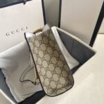 Gucci bag 2025