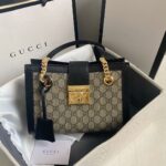 Gucci bag 2025