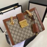 Gucci bag 2025