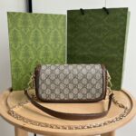 Gucci bag 2025