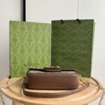 Gucci bag 2025