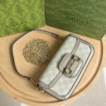 Gucci bag 2025