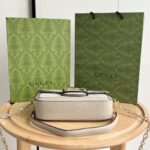 Gucci bag 2025