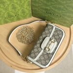 Gucci bag 2025