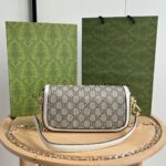Gucci bag 2025