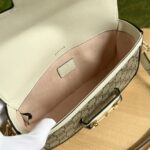 Gucci bag 2025