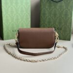 Gucci bag 2025