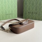 Gucci bag 2025