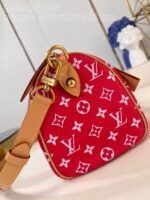 LV Master level Bag