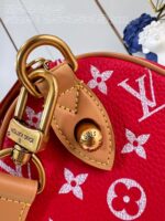 LV Master level Bag
