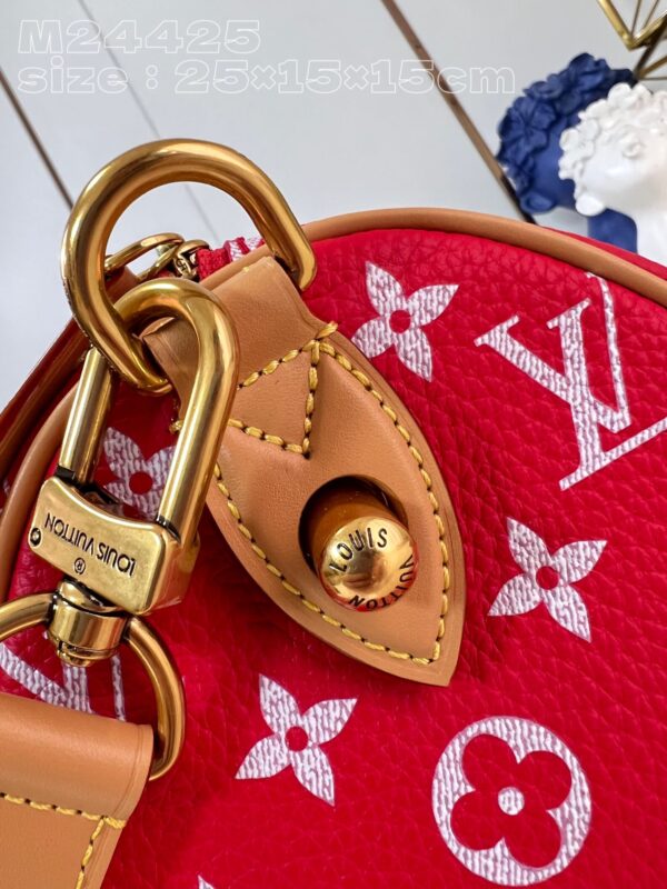 LV Master level Bag