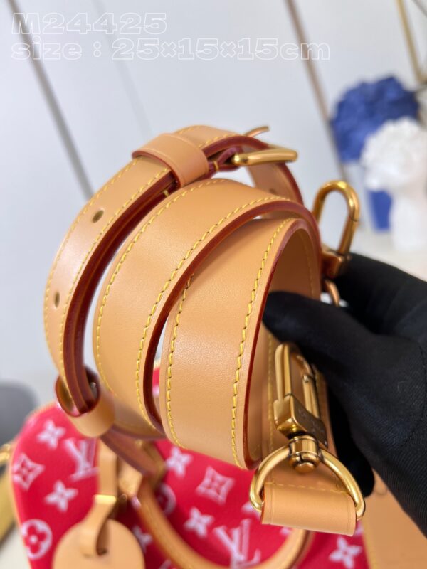 LV Master level Bag