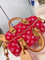 LV Master level Bag