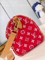 LV Master level Bag