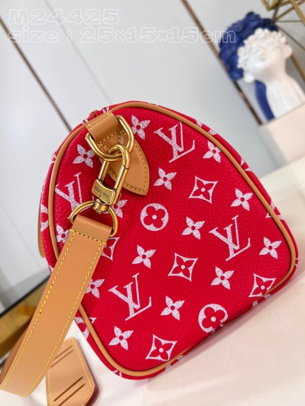 LV Master level Bag