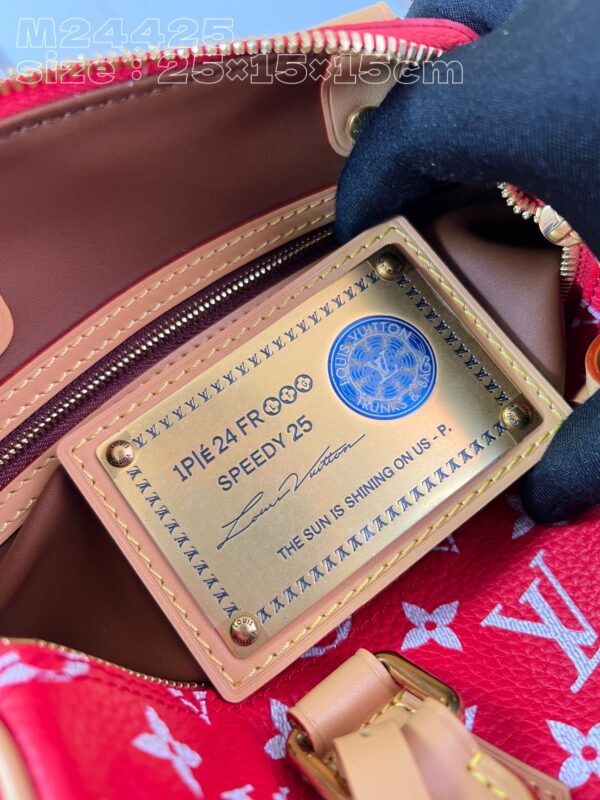 LV Master level Bag