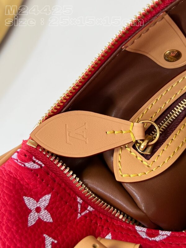 LV Master level Bag