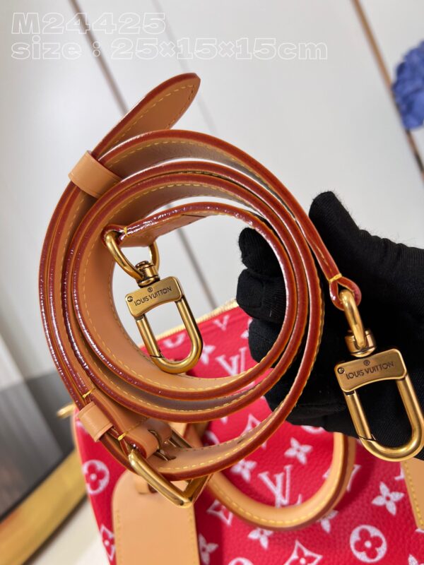 LV Master level Bag