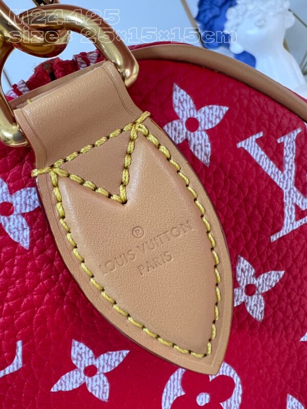 LV Master level Bag