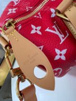 LV Master level Bag