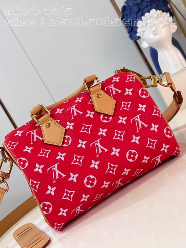 LV Master level Bag