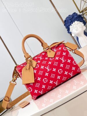 LV Master level Bag