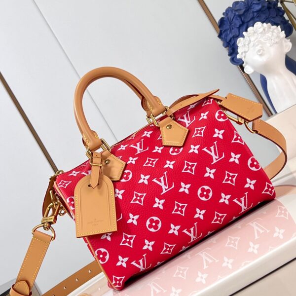 LV Master level Bag