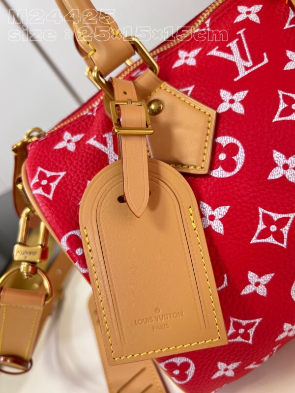 LV Master level Bag
