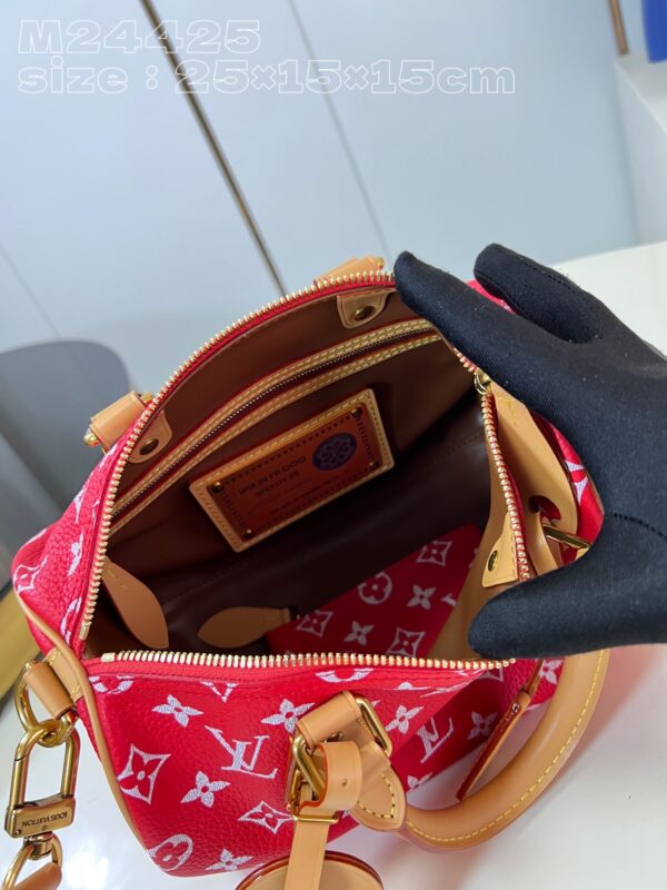 LV Master level Bag