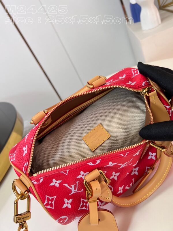 LV Master level Bag