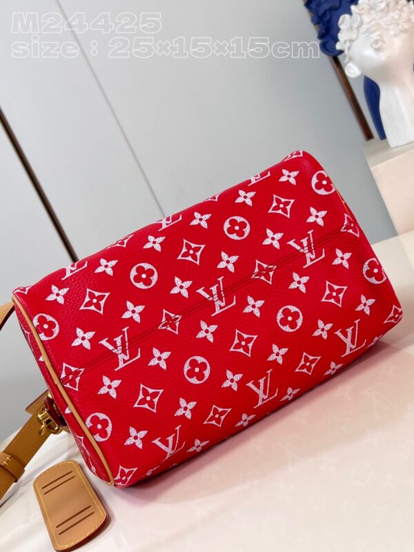 LV Master level Bag