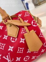 LV Master level Bag