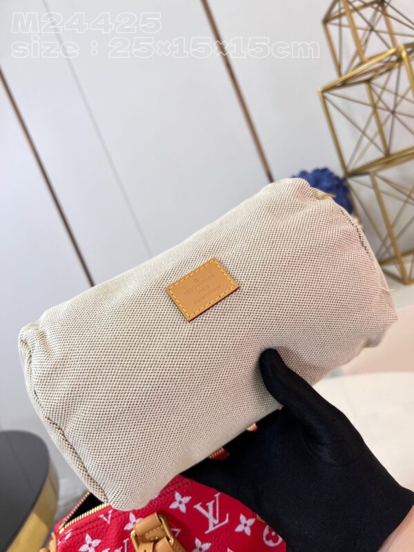 LV Master level Bag
