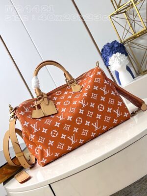 LV Master level Bag