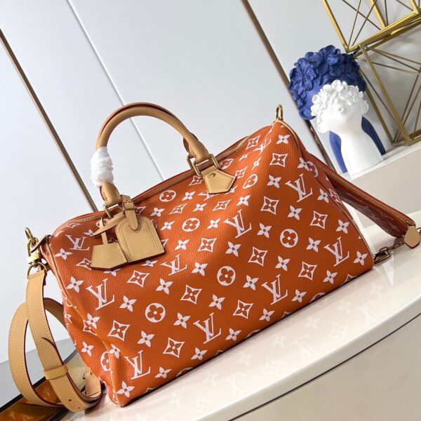 LV Master level Bag