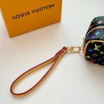 LV Mini Bag