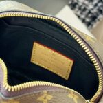 LV Mini Bag