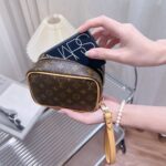 LV Mini Bag