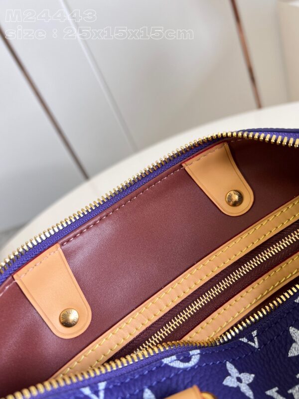 LV Master level Bag